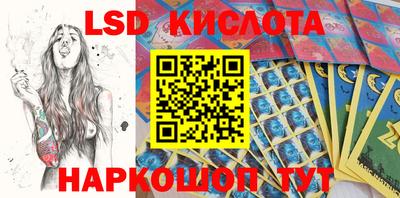 PSILOCYBIN Гатчина