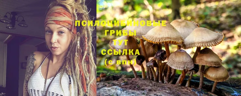 Псилоцибиновые грибы Magic Shrooms  это клад  Урюпинск  дарнет шоп 