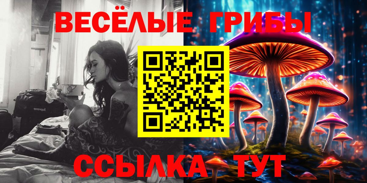Галлюциногенные грибы Psilocybe Урюпинск