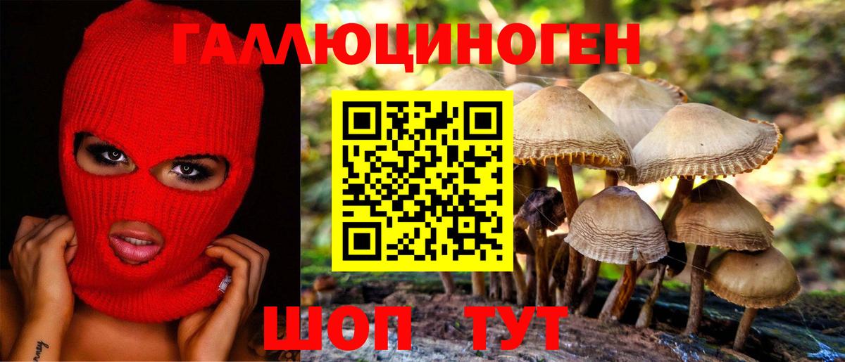 Галлюциногенные грибы Psilocybe  Урюпинск 